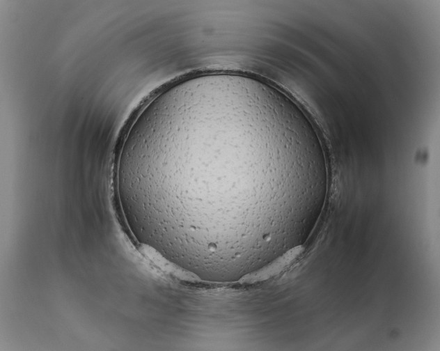 X0000113210992200910011315