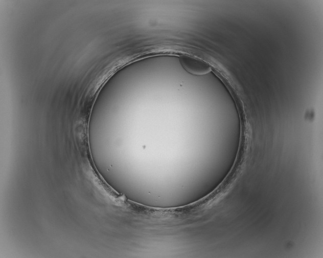 X0000113210993200910011315