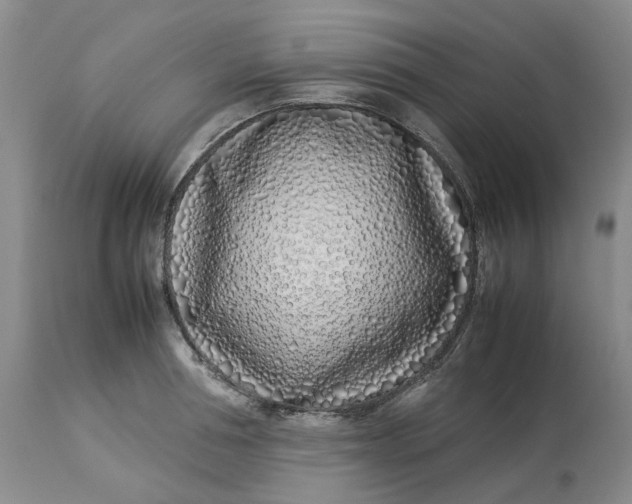 X0000113210994200910011315