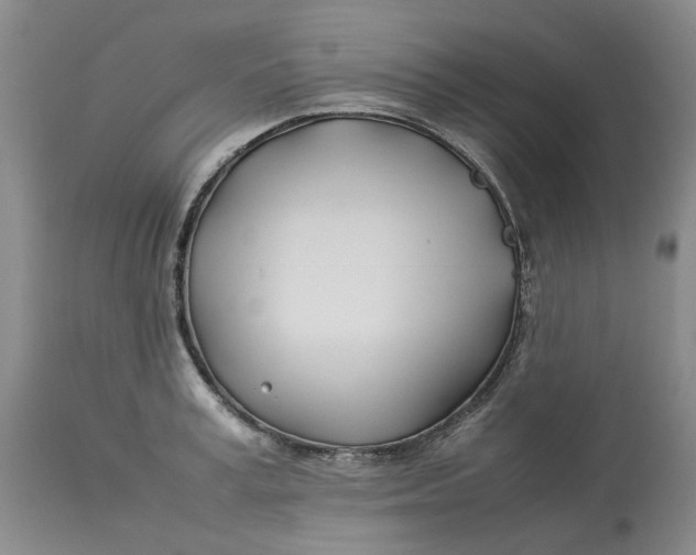 X0000113210995200910011315