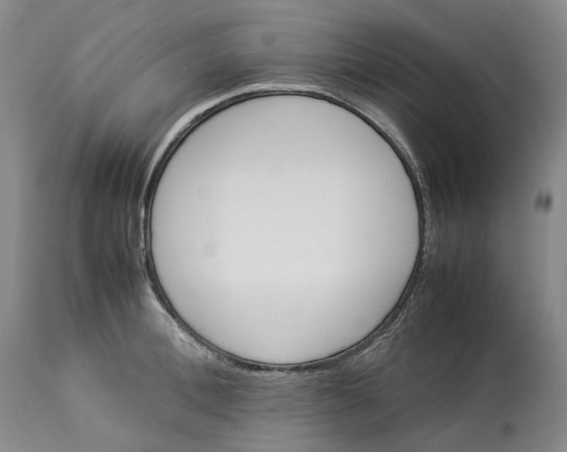 X0000113210996200910011315