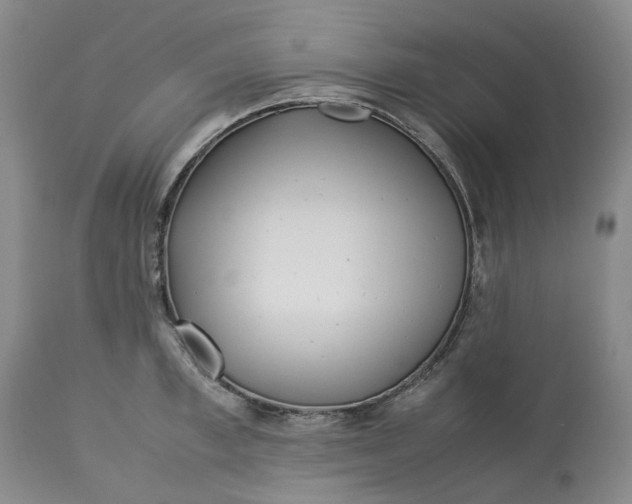 X0000113210997200910011315