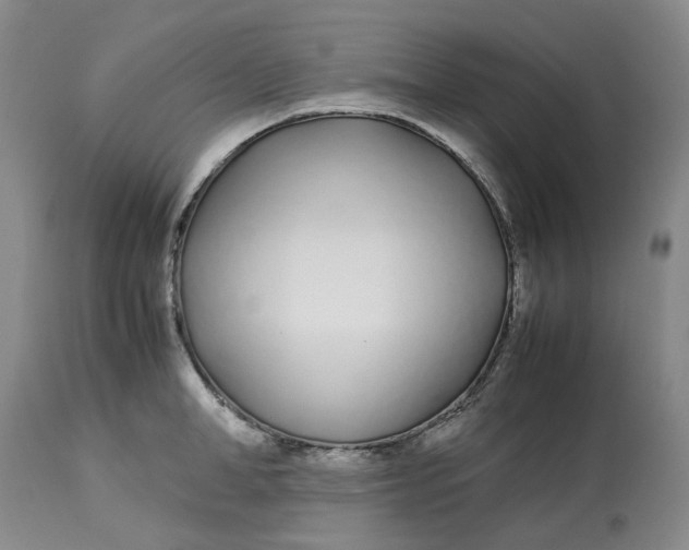 X0000113210998200910011315