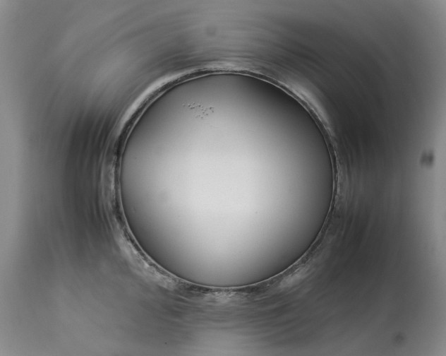 X0000113211000200910011315