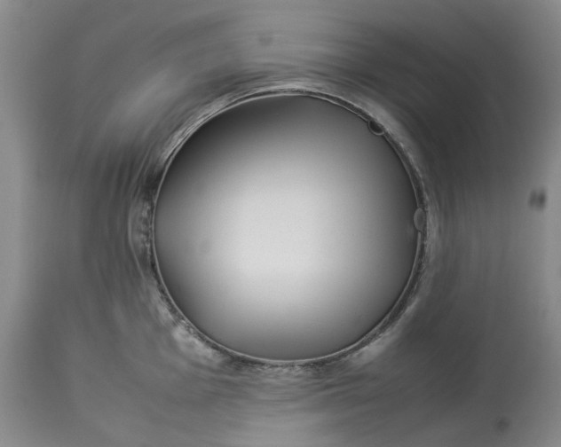 X0000113211001200910011315