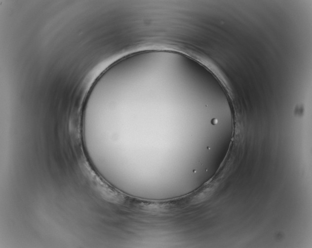 X0000113211004200910011315