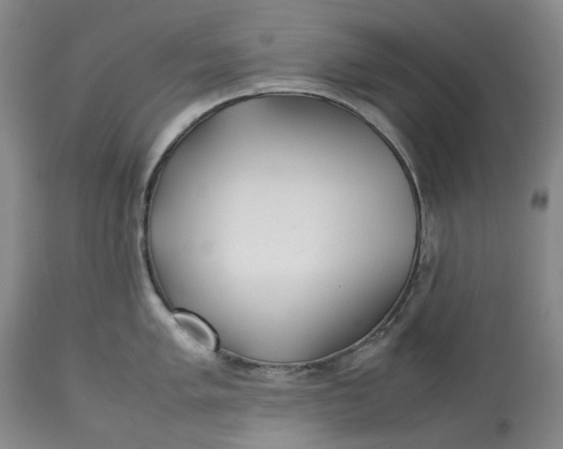 X0000113211005200910011315