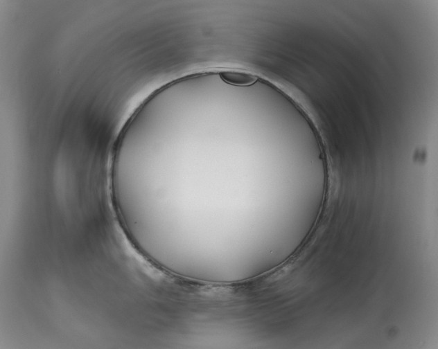 X0000113211006200910011315