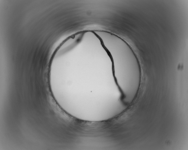 X0000113211008200910011315