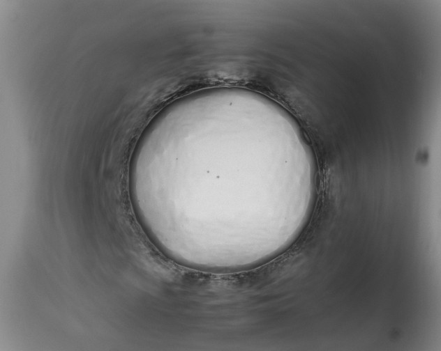 X0000113211009200910011315