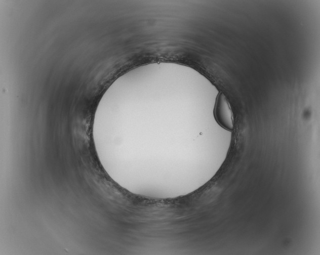 X0000113211010200910011315