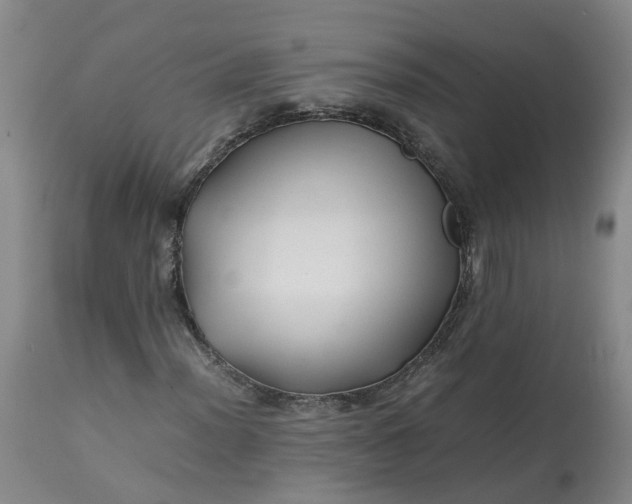 X0000113211012200910011315