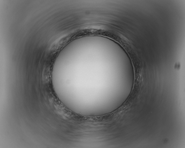 X0000113211014200910011315