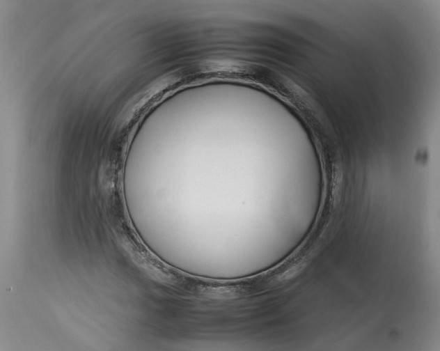 X0000113211017200910011315