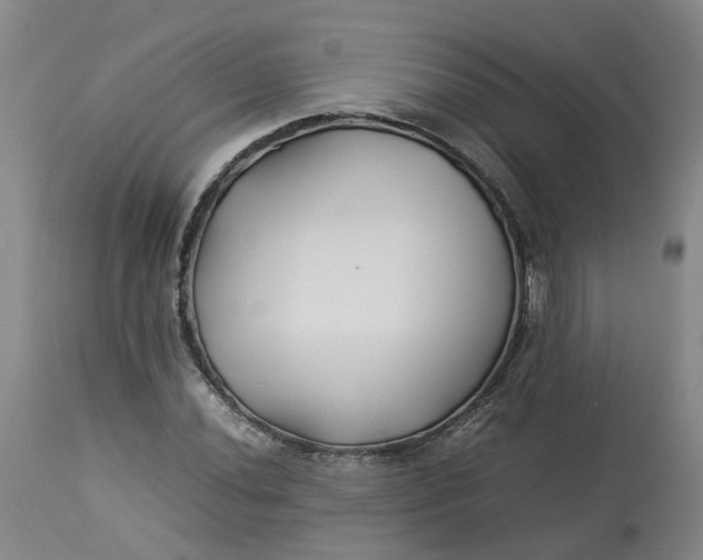 X0000113211020200910011315