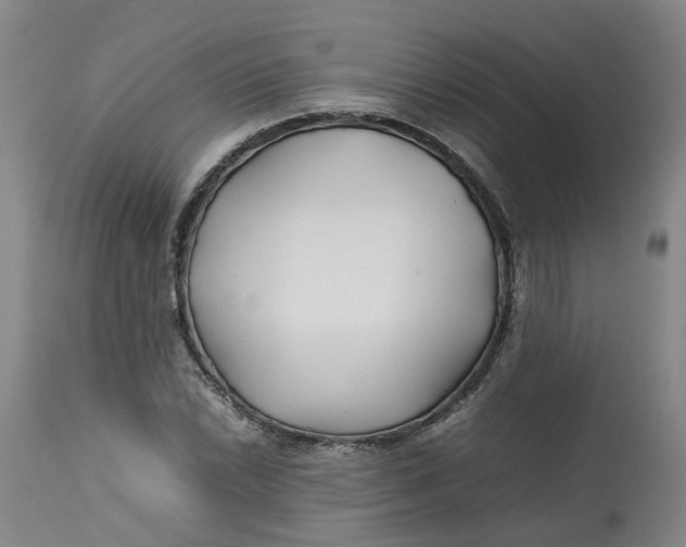 X0000113211022200910011315