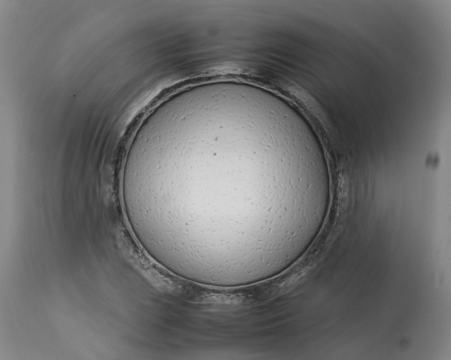 X0000113211023200910011315