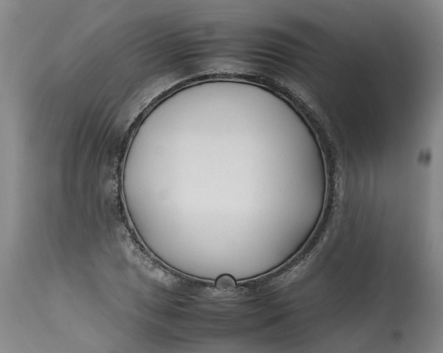 X0000113211025200910011315