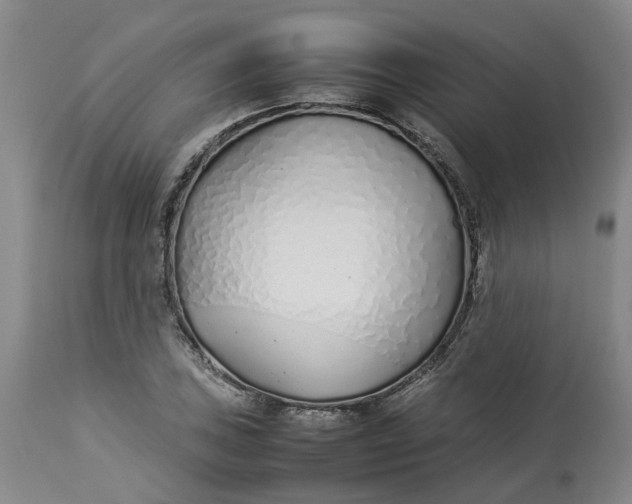 X0000113211027200910011315