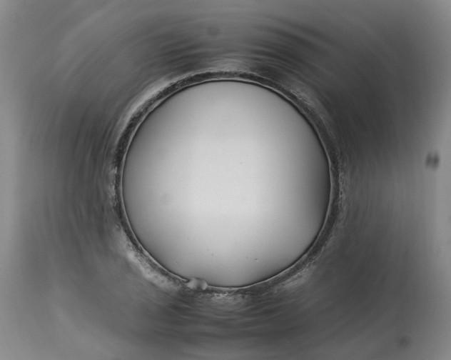 X0000113211029200910011315