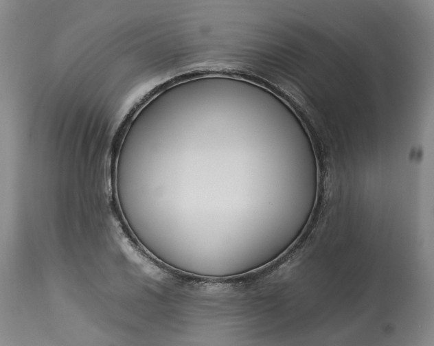 X0000113211030200910011315