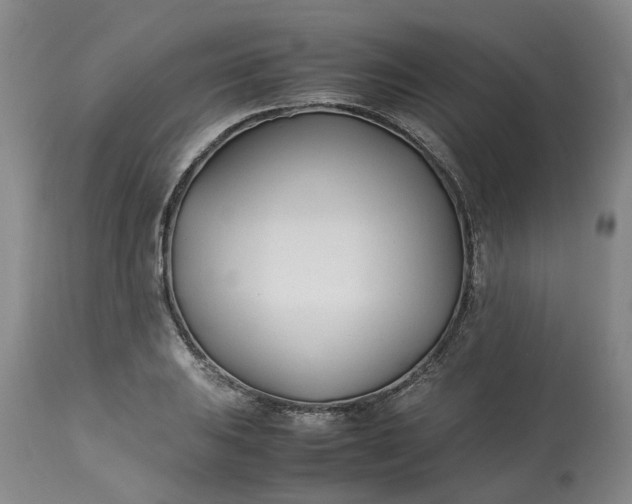 X0000113211031200910011315