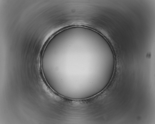 X0000113211032200910011315