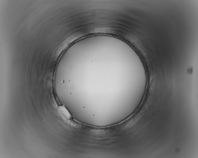 X0000113211033200910011315