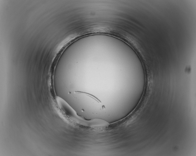 X0000113211034200910011315