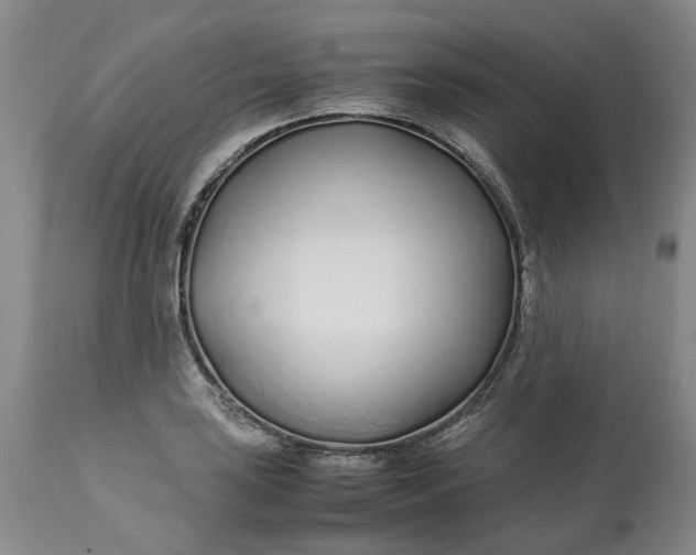 X0000113211035200910011315