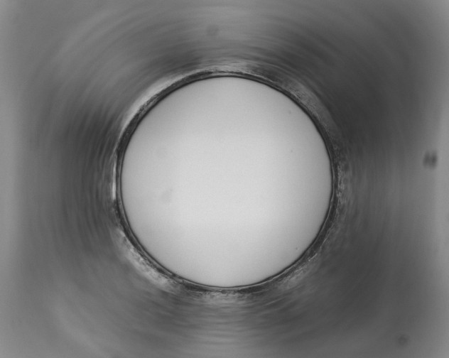 X0000113211036200910011315