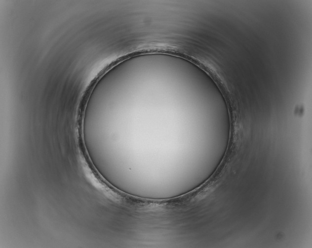 X0000113211038200910011315