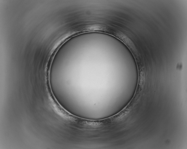 X0000113211039200910011315