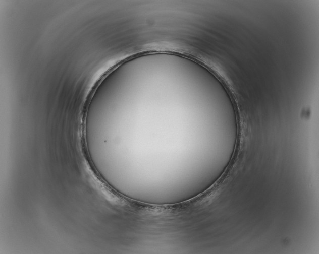 X0000113211040200910011315