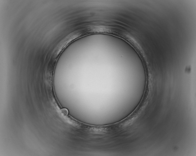 X0000113211041200910011315