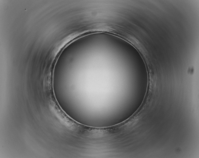 X0000113211044200910011315