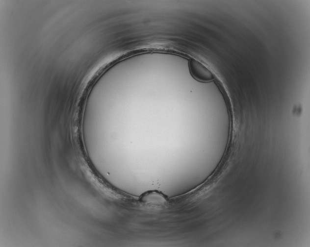 X0000113211045200910011315