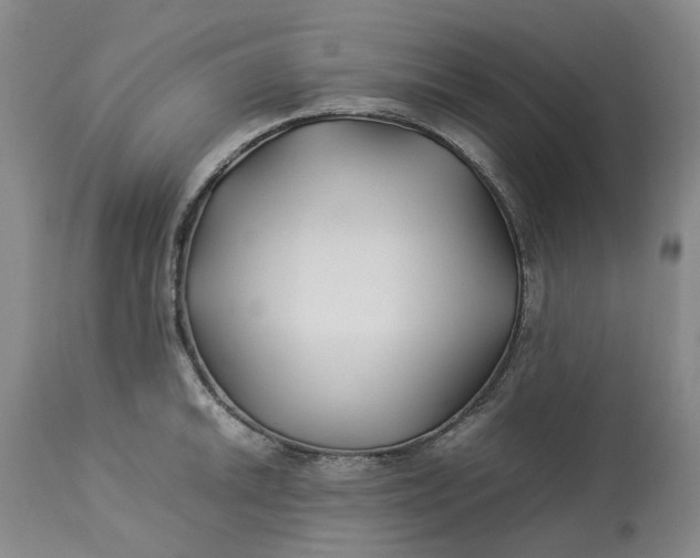 X0000113211046200910011315