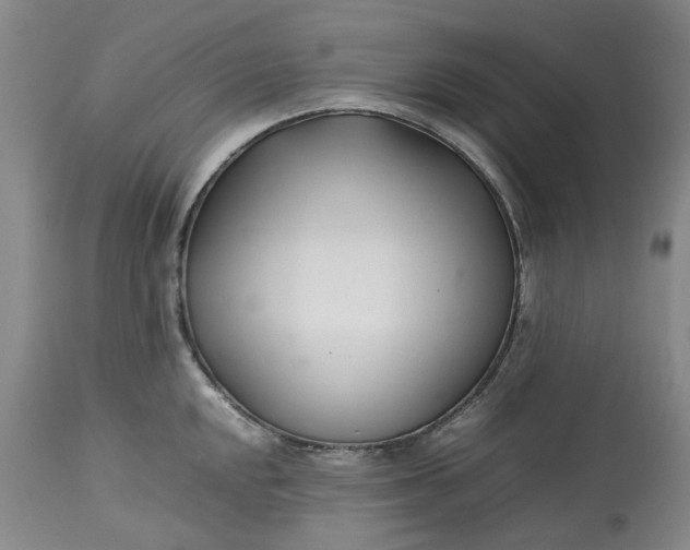 X0000113211048200910011315