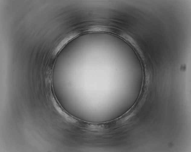 X0000113211049200910011315