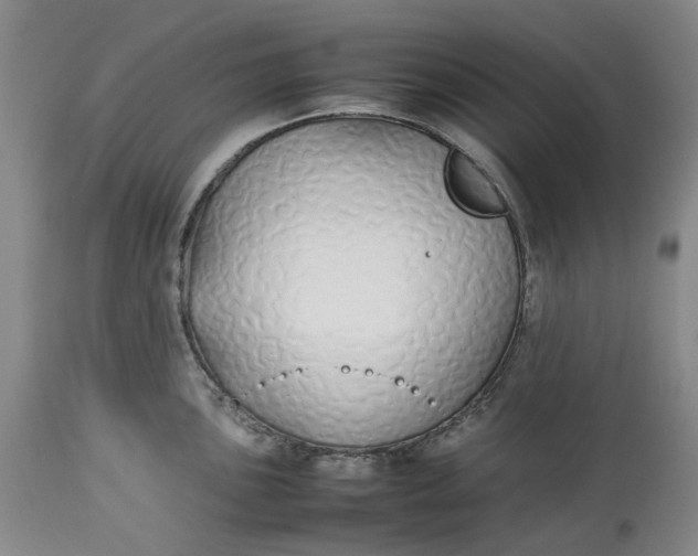 X0000113211051200910011315