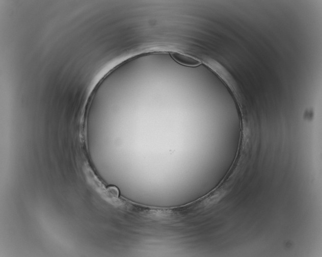 X0000113211052200910011315