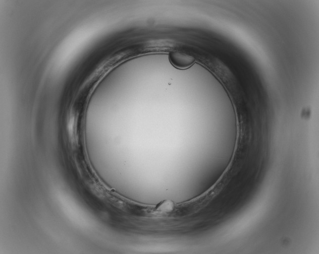 X0000113211054200910011315