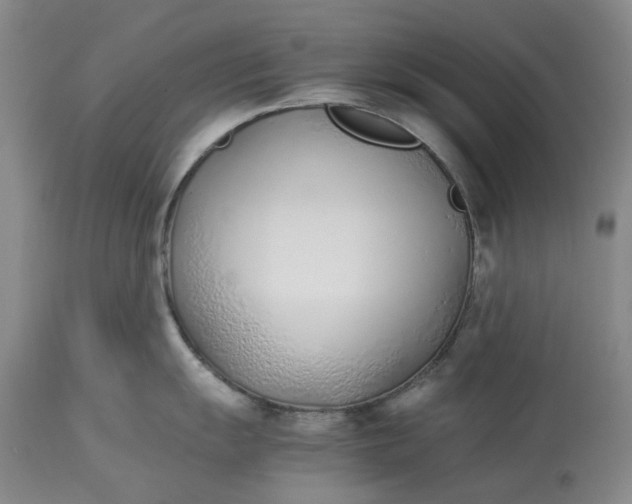 X0000113211055200910011315