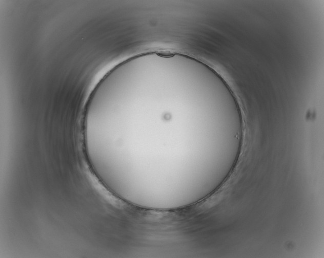 X0000113211056200910011315