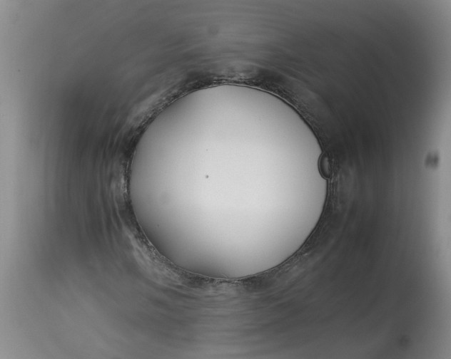 X0000113211058200910011315