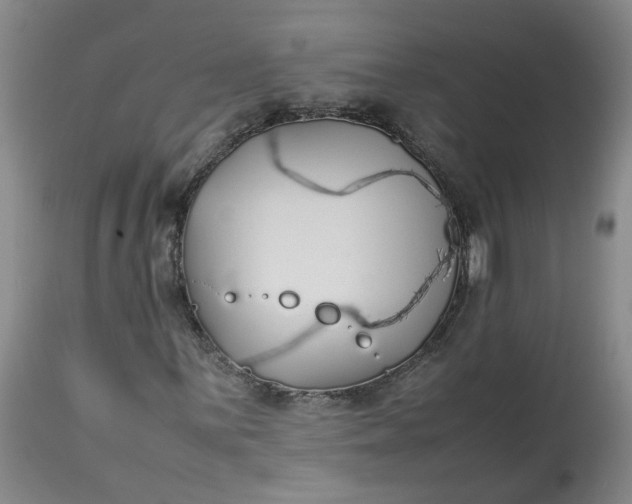 X0000113211059200910011315