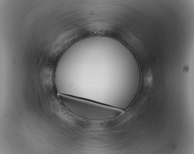 X0000113211060200910011315