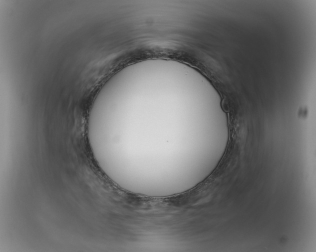 X0000113211061200910011315