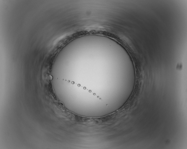 X0000113211063200910011315